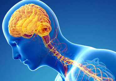 Parkinson’s Treatment
